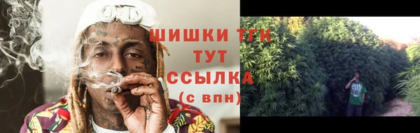 дживик Арсеньев