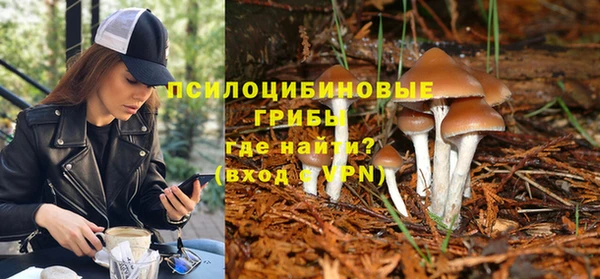 Альфа ПВП Армянск