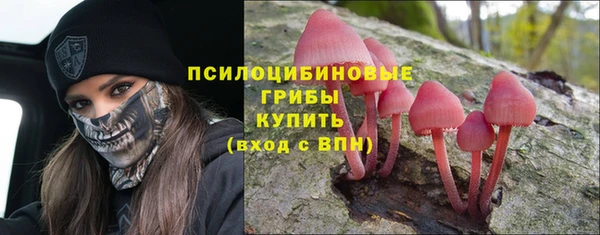 индика Сафоново